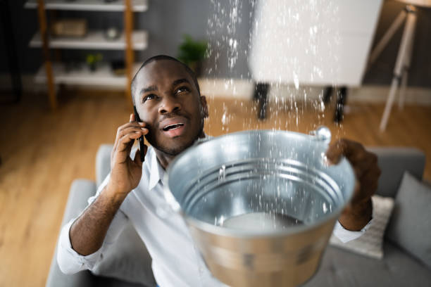 Best Basement water damage restoration  in North Pole, AK