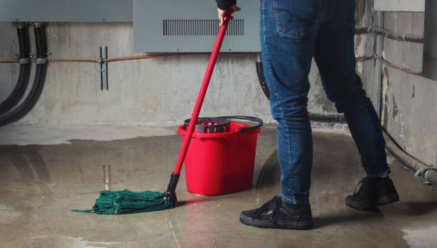 Best Sewage cleanup and water damage restoration  in North Pole, AK
