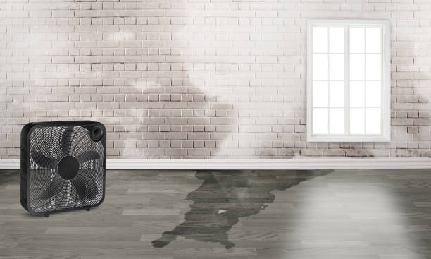 Best Emergency water damage restoration  in North Pole, AK