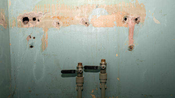Best Water damage restoration specialists  in North Pole, AK
