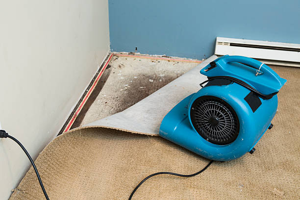 Best Flood restoration services  in North Pole, AK